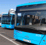 До конца года Смольный планирует закупить 207 новых автобусов - Online47.Ru