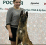 Полицейская овчарка Гром из Петербурга стала призером кинологической выставки - 47Channel.Ru