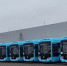 Больше 50 новых современных автобусов вышли на маршруты Ленобласти - ЛенТВ24