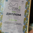 «Путилово» и «Тропа 47»: названы лучшие туристические маршруты и проекты Ленобласти - ЛенТВ24