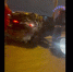Видео: Легковушку сплющило в аварии на КАД у «Меги Парнас» - 47 новостей