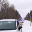 Видео: под Гатчиной со стрельбой задержали группу дачных воров - Online47.Ru