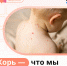 Специалисты заявили, что из-за моды на отказ от прививок увеличилось количество болеющих корью взрослых - 47Channel.Ru