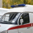 Пятилетняя малышка впала в кому, попробовав траву в огороде под Гатчиной - Online47.Ru