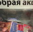 На Книжном салоне в Петербурге организуют сбор книг для подопечных фонда AdVita - ЛенТВ24