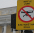 Внимание, воздух: число нарушений с личными дронами выросло почти вдвое за квартал - 47 новостей