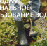 Садоводам Ленобласти напомнили о рациональном использовании воды на даче - 47Channel.Ru