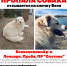 qnE63ZLK0EU.jpg - 47 новостей