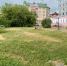 Срубят шесть, посадят – 60 - СеверИнформ