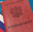 В Сосновом Бору задержан морпех из Калининграда, бегавший от мобилизации - 47 новостей