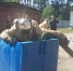 Соревнования добровольных пожарных в Подпорожье - ГУ МЧС ЛО