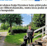 printscreen газеты Etelä-Saimaa/ Кайя Хиннинен со своей собакой по кличе Милли - 47 новостей