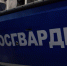 Кингисеппский машиностроительный завод поставил росгвардейцам 6 катеров «Афалина» - ЛенТВ24