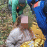 Под Тосно грибник пять дней плутала по лесу, пока ее не спасли специалисты - 47Channel.Ru