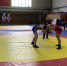 Спортсмены от Ленобласти участвуют в чемпионате по спортивной борьбе в Петербурге - 47Channel.Ru