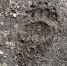 image_2023-09-23_13-02-36.png - 47 новостей