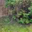 читатель 47news - 47 новостей