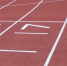 WADA собирается оспорить несогласие РУСАДА со статусом несоответствия антидопинговому кодексу - Online47.Ru