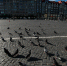 Туристы сообщают о новом путеводителе по Петербургу - Online47.Ru