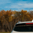 Haval отзывает 55 тысяч машин из России. Найди своё авто в списке - 47 новостей