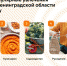 Мода, красота, кулинария и садоводство стали самыми популярными увлечениями жителей Ленинградской области в 2023 году - Online47.Ru
