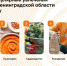 Одноклассники назвали самые популярные увлечения жителей Ленобласти в 2023 году - 47Channel.Ru