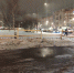 В Петербурге с нелегальных елочных базаров изъяли более 150 деревьев - 47Channel.Ru