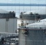 Петербургский нефтяной терминал снизил перевалку нефтепродуктов на 12,4% - 47 новостей