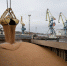 Порт Мариуполь в январе 2024 года отгрузил 13 тыс. тонн сельхозпродукции - PortNews