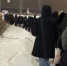 Недовольство очередью на автобус в Гатчине вызвала пересуды у жителей Петербурга и Ленобласти - 47Channel.Ru
