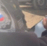 В Сосновом Бору два подростка вышли на грабеж с водяным пистолетом - ЛенОблИнформ