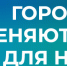 Сотрудники Ленинградского зоопарка показали тигра Зевса в День кошек - Online47.Ru