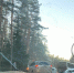 Фото: Telegram-канал VyborgGo - 47 новостей