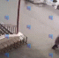 В Петербурге студентка метнула коктейль Молотова в плакат о выборах у школы - видео - 47Channel.Ru