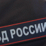 74 как с куста. В Петербурге вырубили плантацию марихуаны - 47 новостей