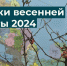 Сезон весенней охоты начинается в Ленобласти - Online47.Ru