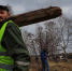 В Ленобласти пройдет субботник на более чем 500 территориях - Online47.Ru