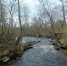В реку в заказнике "Гладышевский" выпустили 15 тысяч мальков лосося - 47Channel.Ru