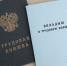Страж и заработок. Эксперт объяснила, от чего зависит размер пособия по безработице - 47 новостей