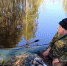 На реке Шоткуса в Ленобласти поймали браконьера, ловившего леща - 47Channel.Ru