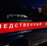 В подвале кирпичного дома во Всеволожске нашли скелет в джинсах - 47 новостей