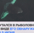 У Териберки нашли кита Станислава и думают, как освободить его от сетей - 47 новостей
