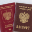 МВД предложило изымать "недействительные" паспорта - 47 новостей
