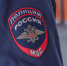 До последнего москвича. На Петербург и Ленобласть пришел новый шеф экономической полиции - 47 новостей