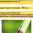 Стало известно, где в Ленобласти чаще всего присасываются клещи - 47 новостей