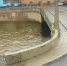 В Петербурге водитель нырнувшего на Поцелуевом мосту автобуса предстанет перед судом - 47Channel.Ru