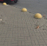 Мертвых котят нашли под окнами многоэтажки в Буграх - 47 новостей