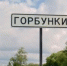 Суды решают: действующую власть в Горбунках сняли с выборов - 47 новостей