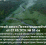 Ночную продажу крепкого алкоголя в жилых домах запретят с 1 сентября в Ленобласти - ЛенТВ24