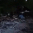 Жители села Никольское жалуются на неприятный запах от мусорных баков - ЛенТВ24